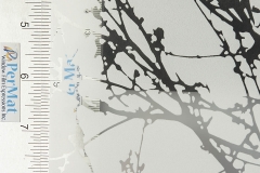 Clear Spring Buds_08