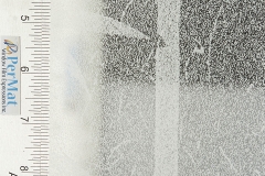 Frosted Bamboo_07