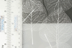 Leaf_01
